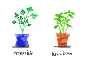 Gezeichnet: vier Blumentöpfe mit Rosmarin, Petersilie, Basilikum und Koriander