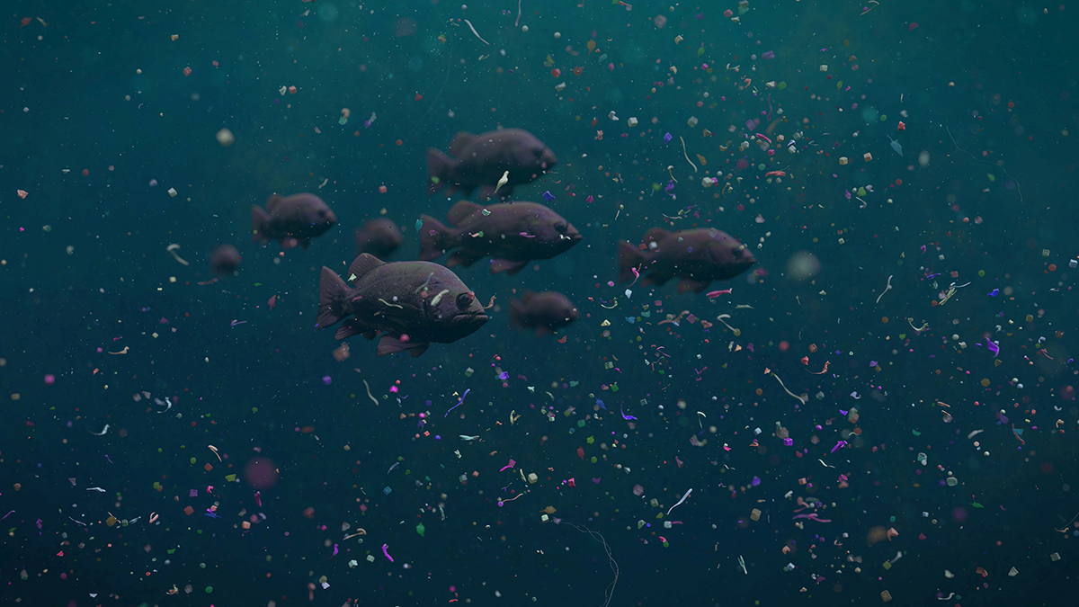 Fische schwimmen durch Meerwasser voll von kleinen Plastikpartikeln