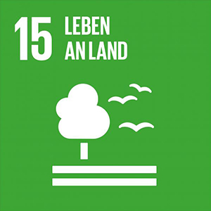 Nachhaltigkeitsziel Nr. 15: Leben an Land