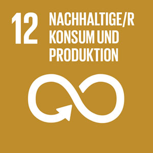 Nachhaltigkeitsziel Nr. 12 der 17 Nachhaltigkeitsziele der Vereinten Nationen: Nachhaltige/r Konsum und Produktion 