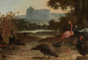Titelbild Melchior d´Hondecoeter Vogelpark