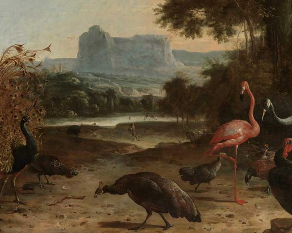 Titelbild Melchior d´Hondecoeter Vogelpark